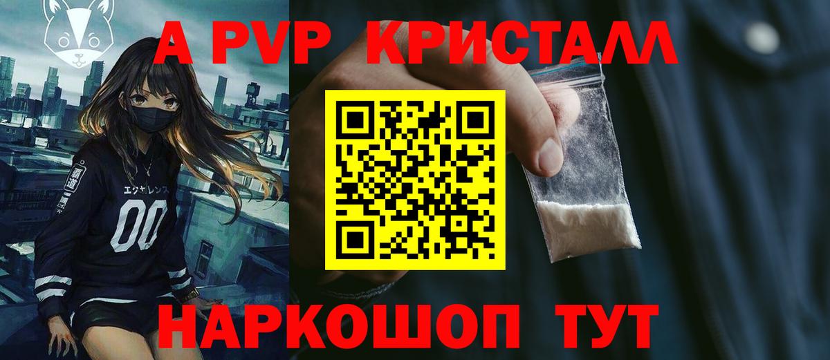 Alfa_PVP СК Мытищи