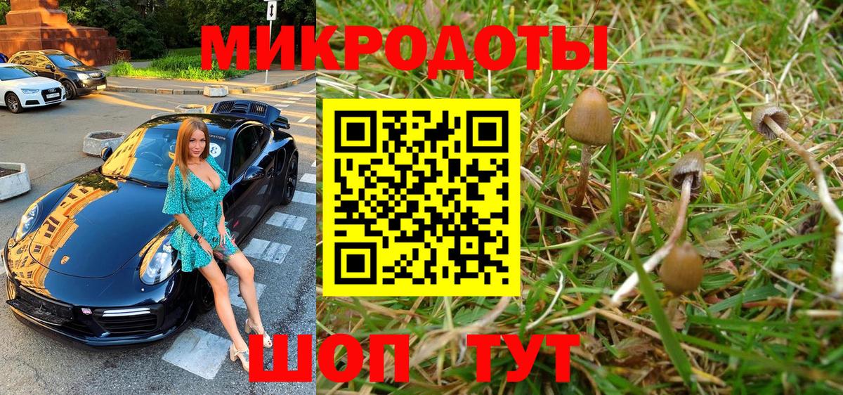 Галлюциногенные грибы ЛСД  Вход с VPN  Псилоцибиновые грибы Magic Shrooms  Мытищи 