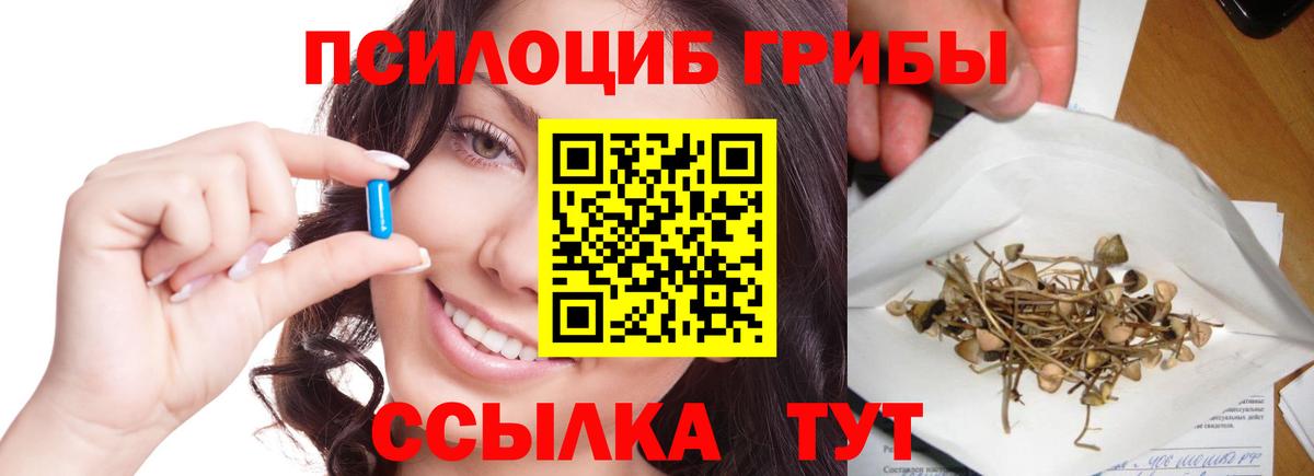 Псилоцибиновые грибы GOLDEN TEACHER Мытищи